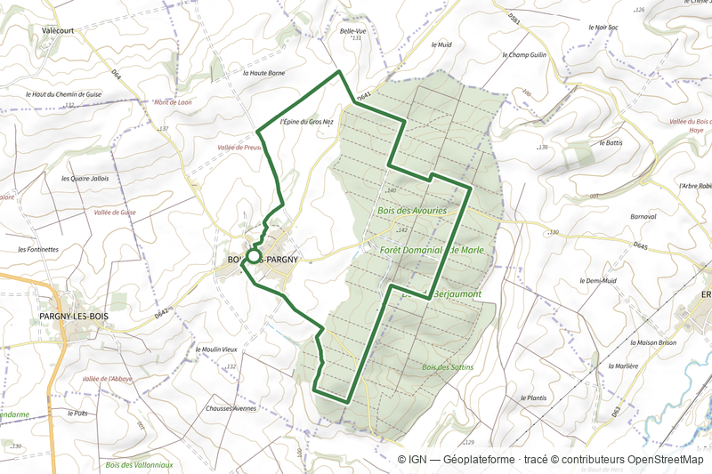 La Forêt de Marle