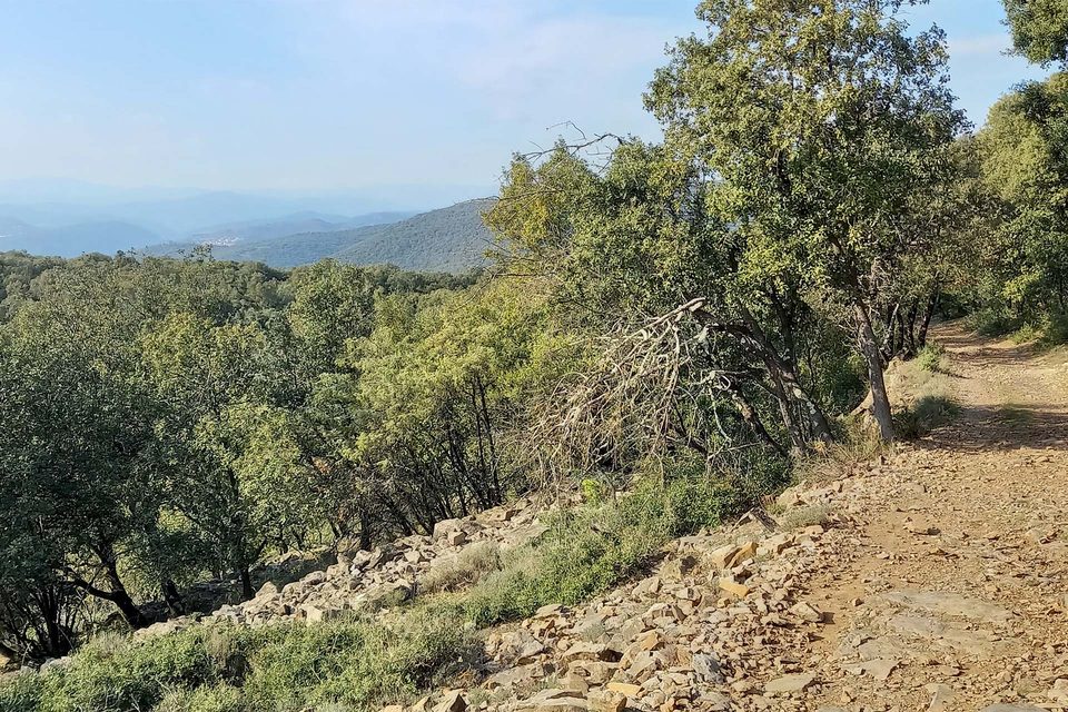 Sentier de la Fontaine des Mamans