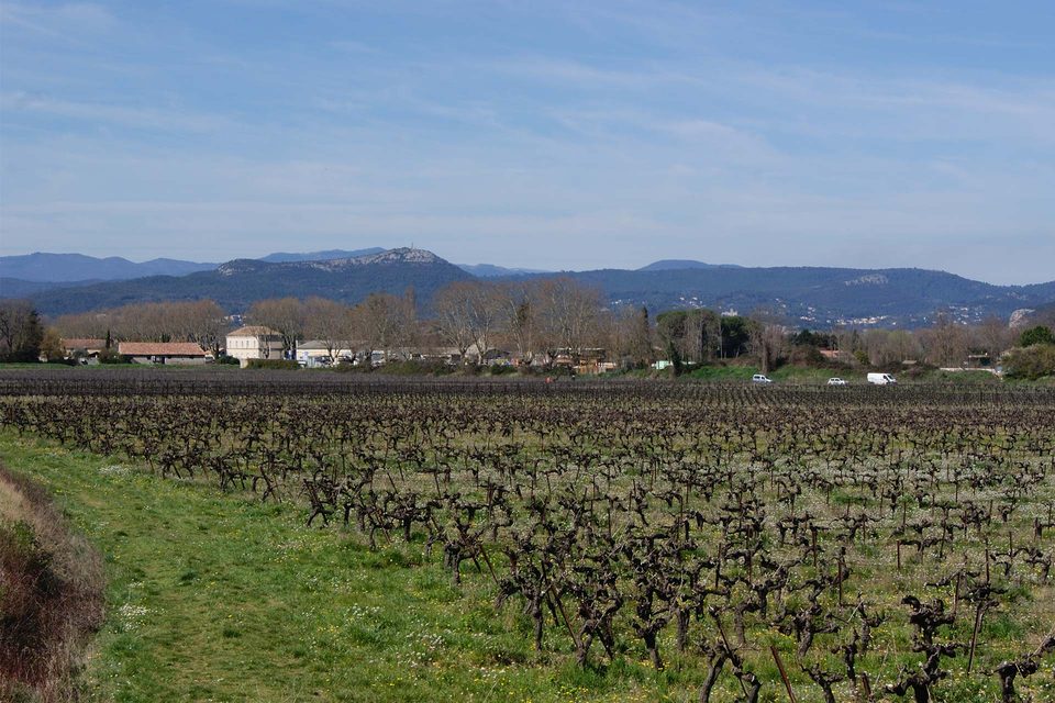 Des voies vertes au vignoble de Lézan