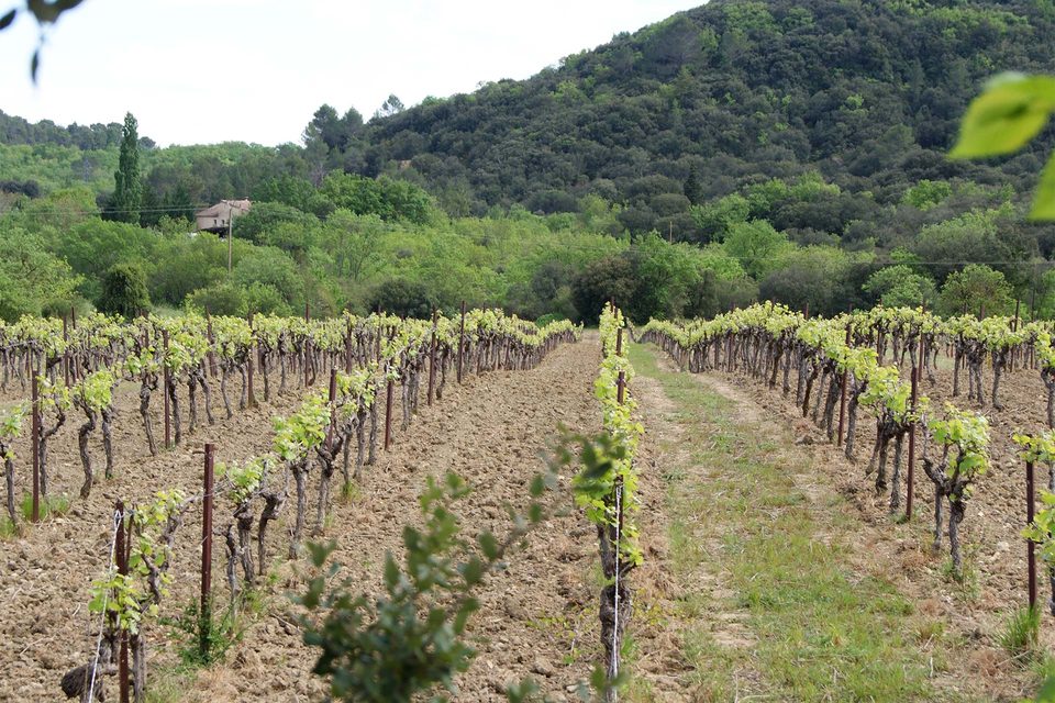 Autour du domaine d'Arene