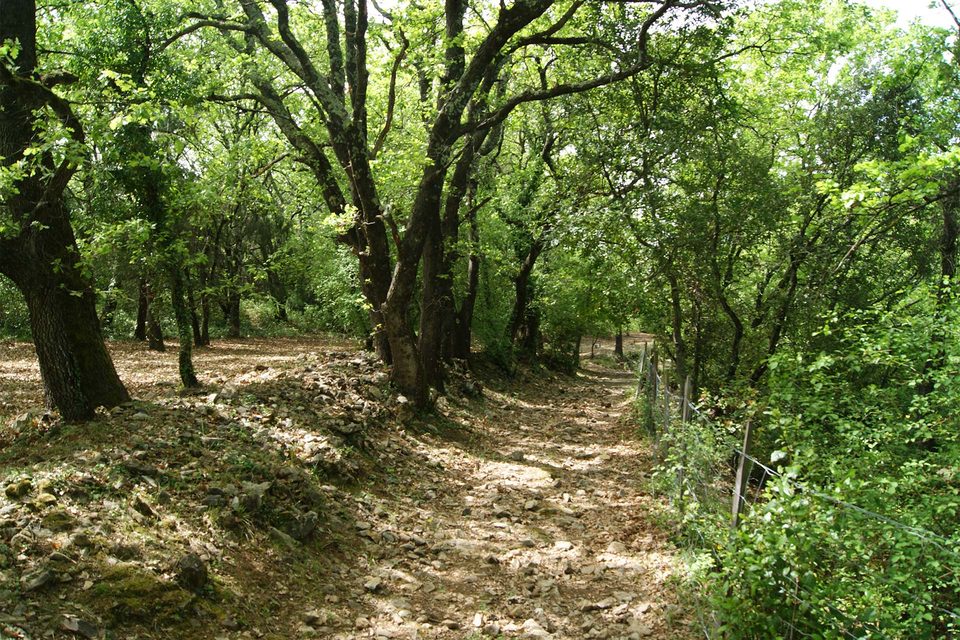 DSC09220