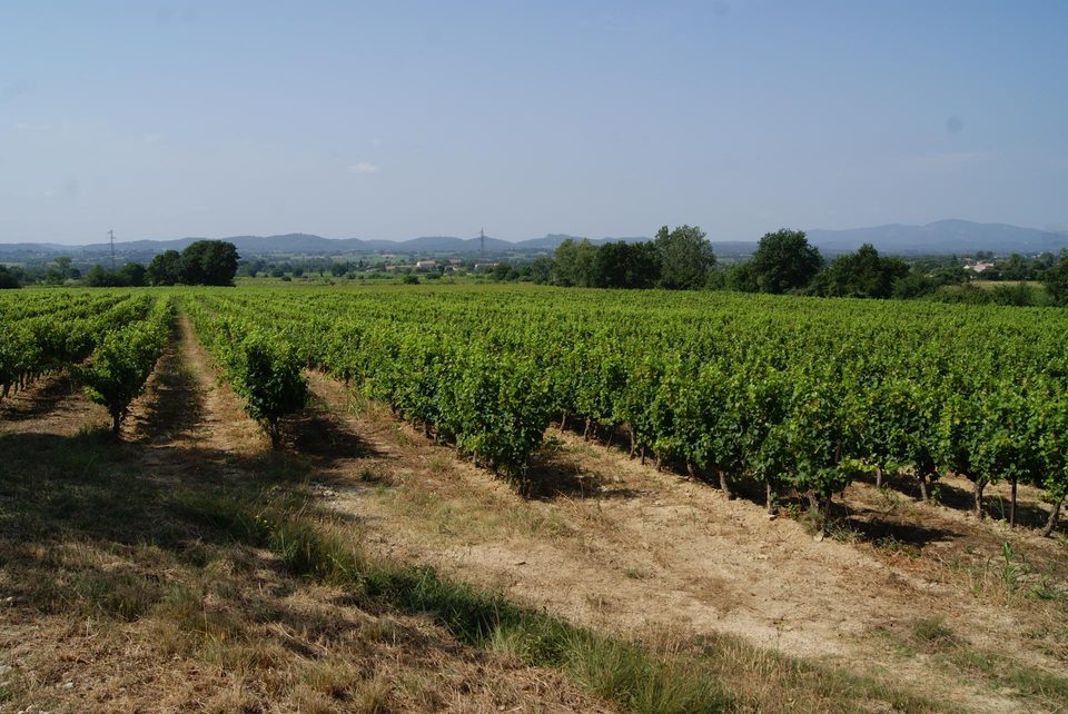 Le chemin des crêtes