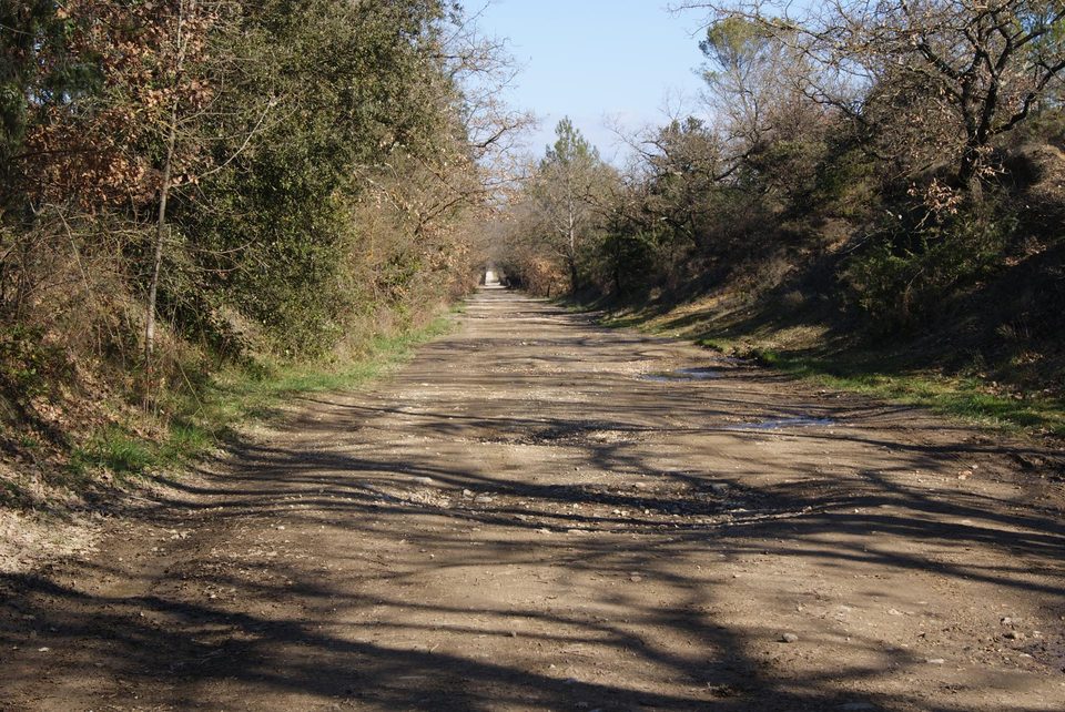 DSC09133