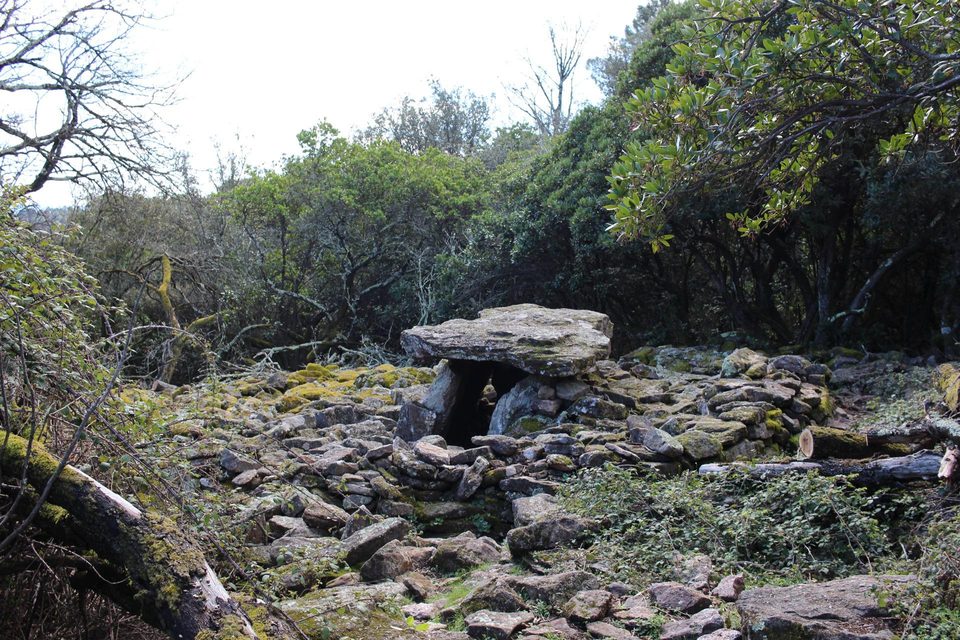 Les Capelans