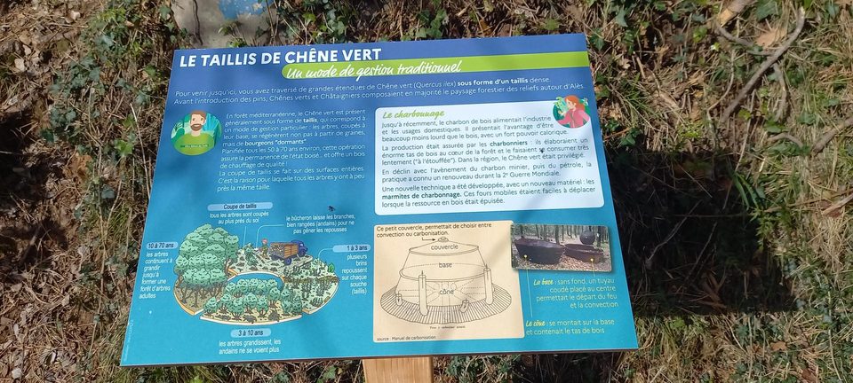 Le Sentier forestier