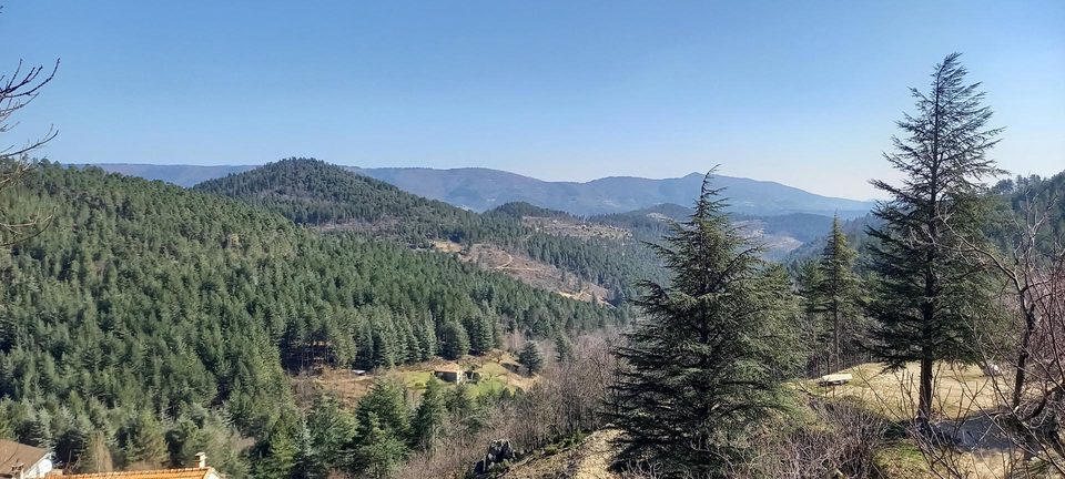 Aux abords du Cévenol