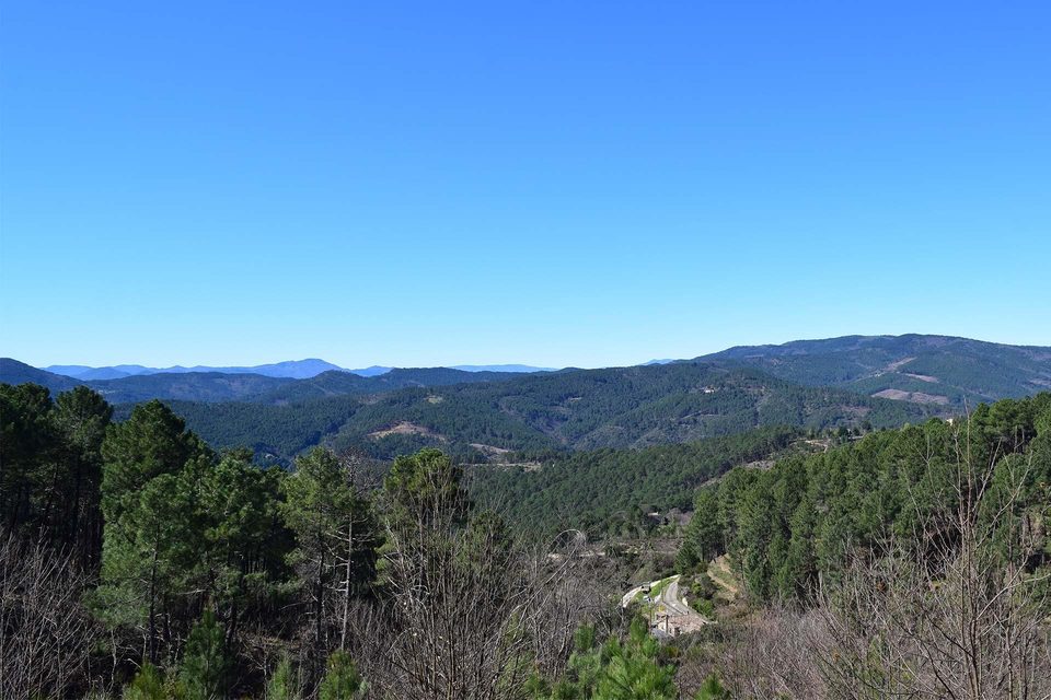 La route de la châtaigne des Cévennes
