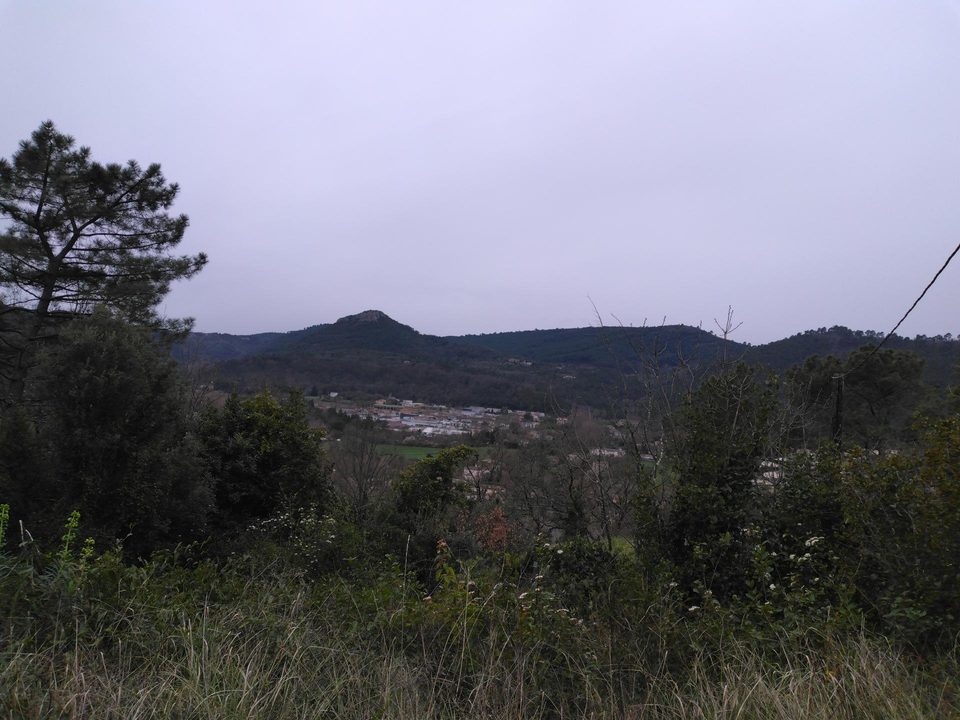 IMG_20250314_093135