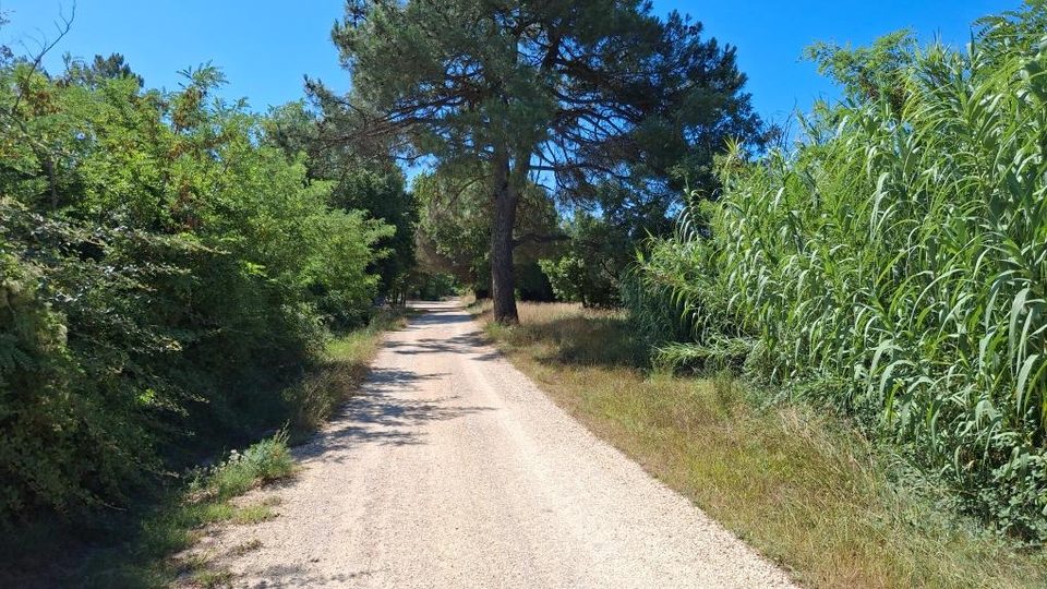 À la découverte d'Uzès