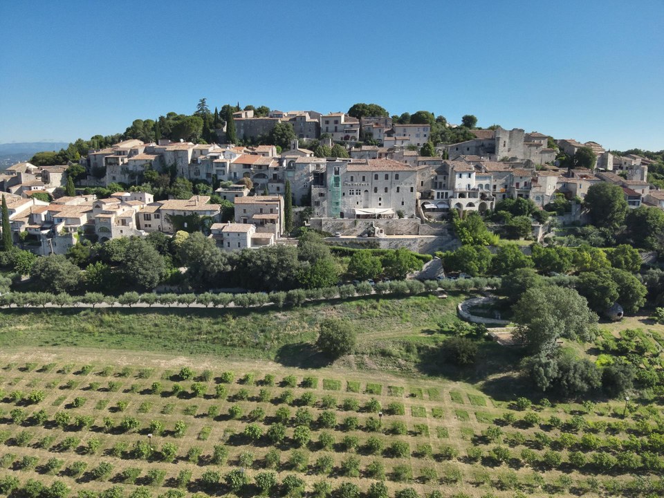 DJI_20230704092944_0043_V