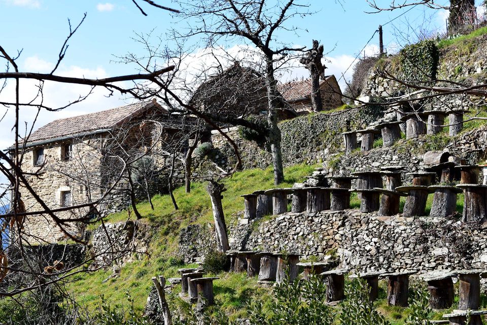 La Cézarenque