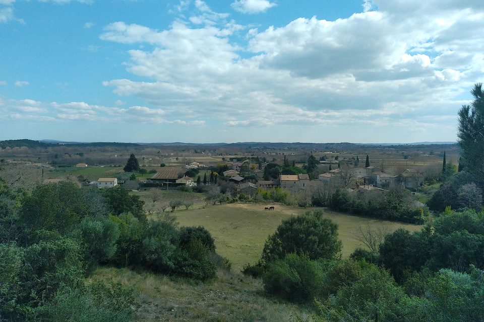 Entre Châteaux et vignobles