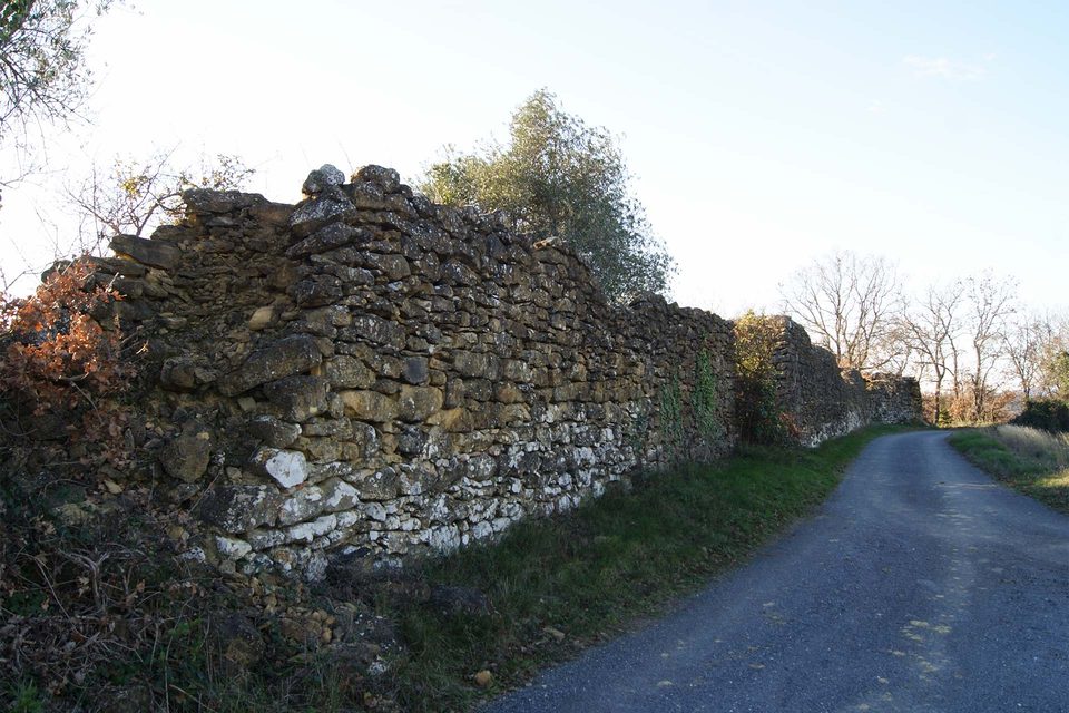 DSC09056
