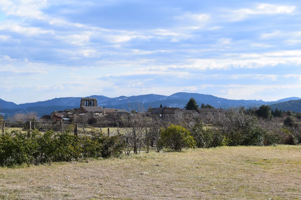 DSC_0371