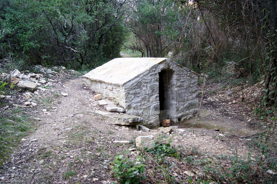 DSC09072