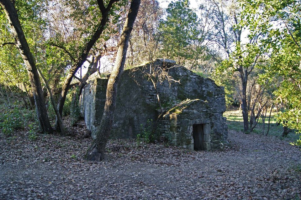 DSC09074