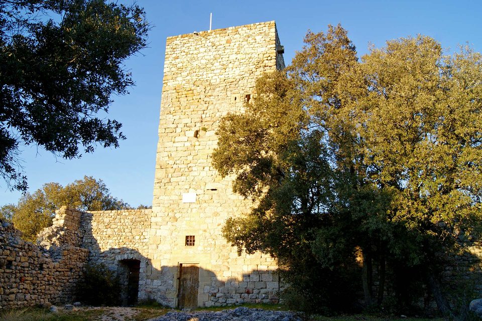 DSC09106