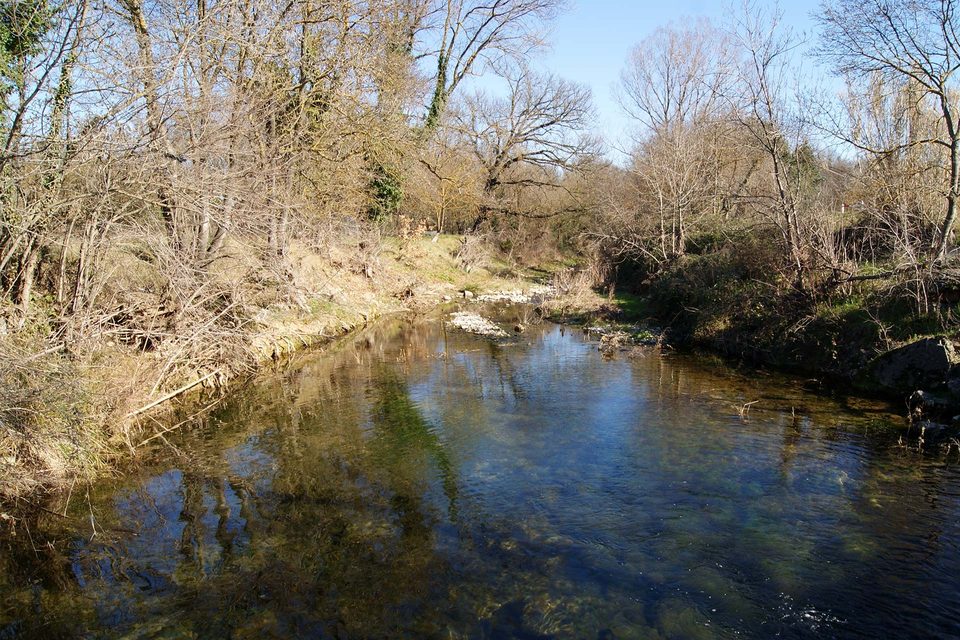 DSC09077