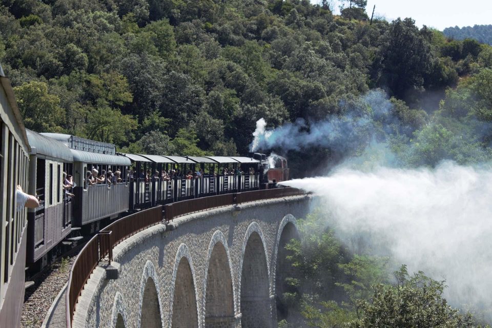 Du train des Cévennes à la Salendrinque
