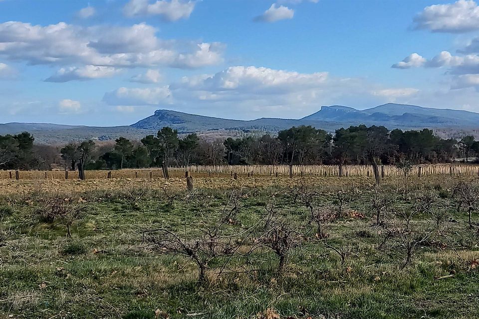 Vallée de l'Auzonnet