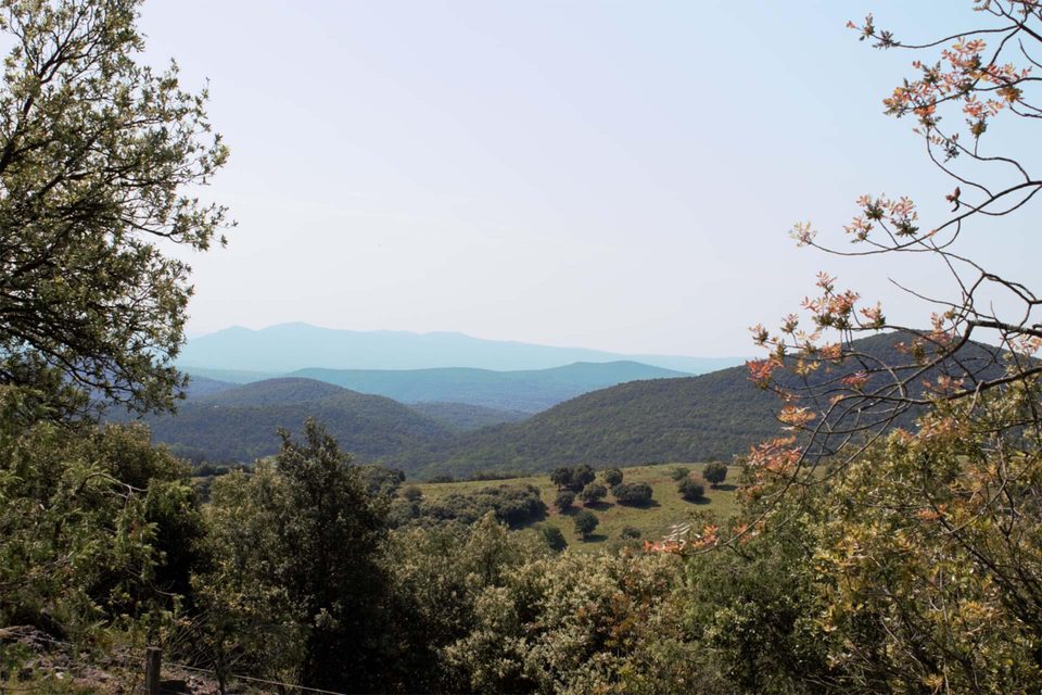 De la porte des Cévennes au Piémont Cévenol