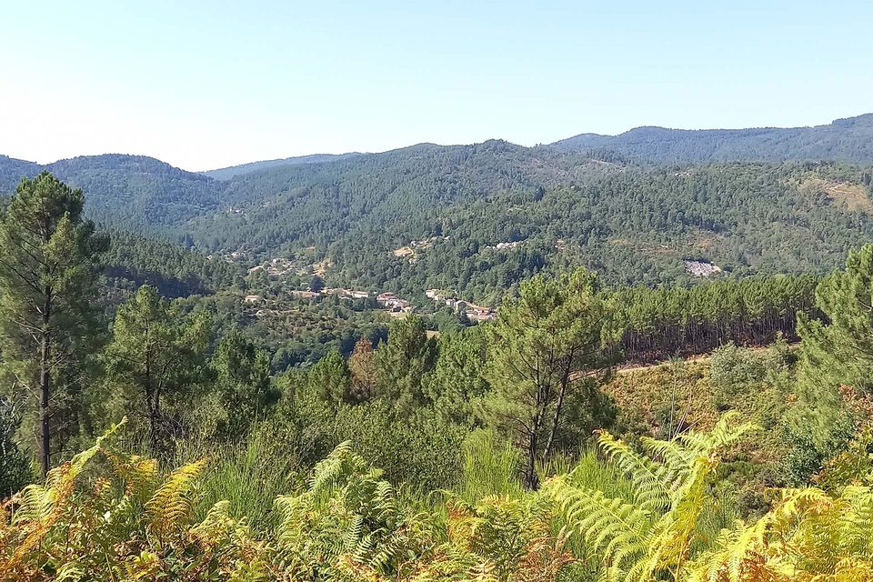 Viaduc du Luech