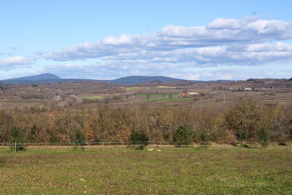 DSC09042