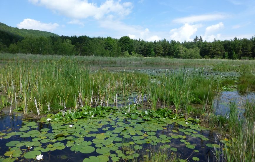 Lac et église de Saint-Léger