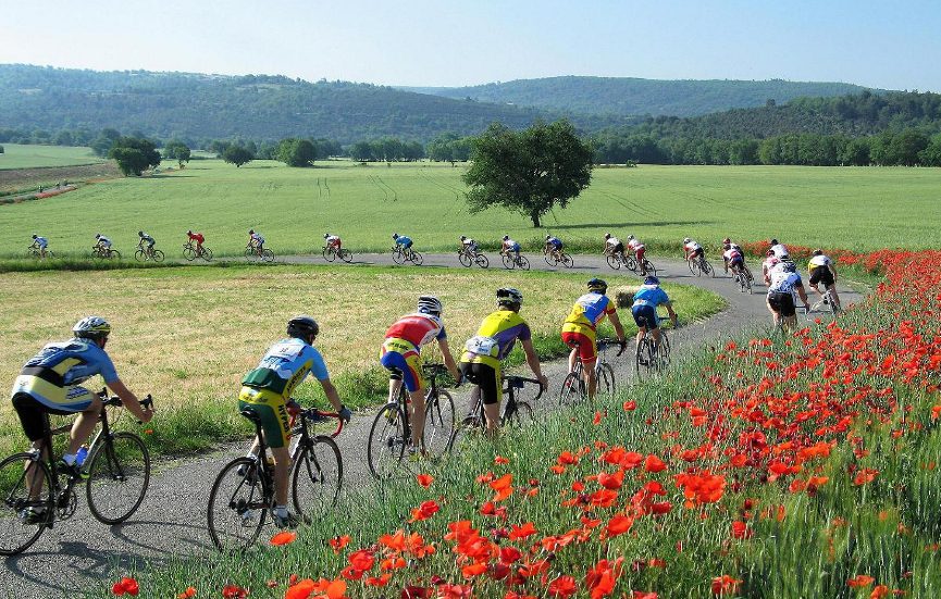 Le plateau de Valensole (parcours vélo n°17)
