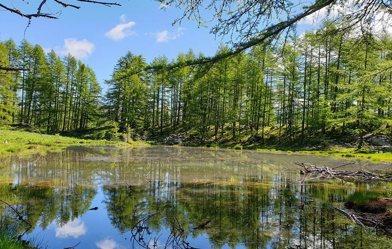 Lac des Grenouilles