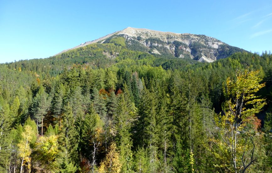 Forêt du Labouret