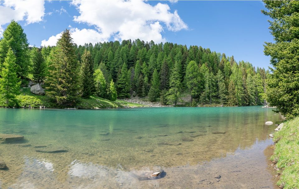 Lacs du Col Bas (Par Seyne)