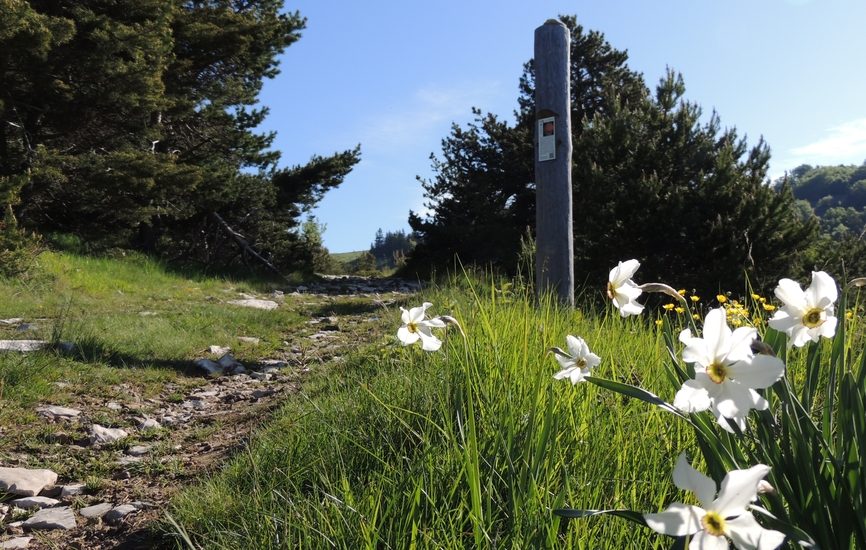 Sentier des planètes (version longue)