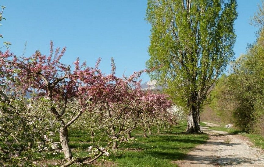 Les Vergers (parcours VTT n°2)