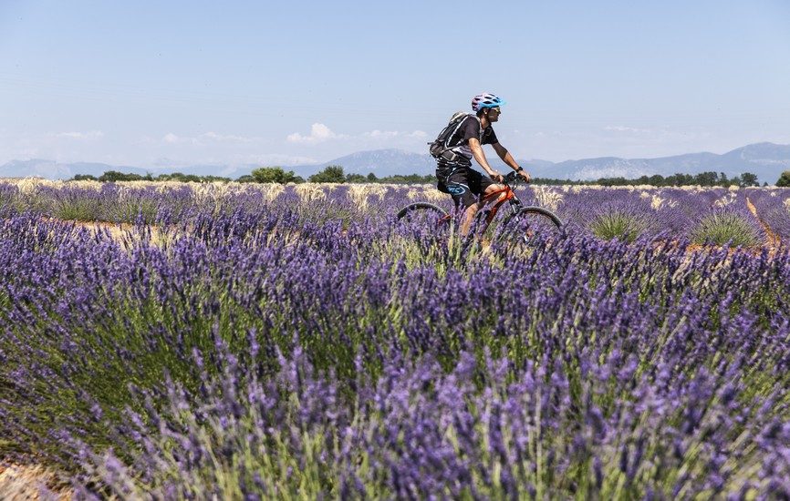 Plaine de Millarettes (parcours VTT N°1)
