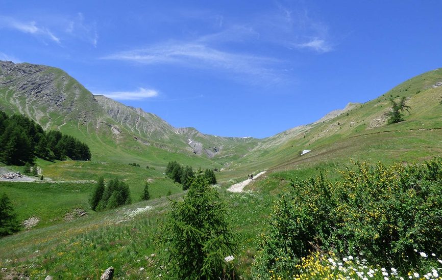 Sources du Verdon et Tête de la Sestrière (2 575 m)