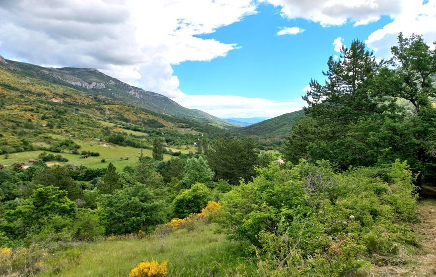 Piedblacun