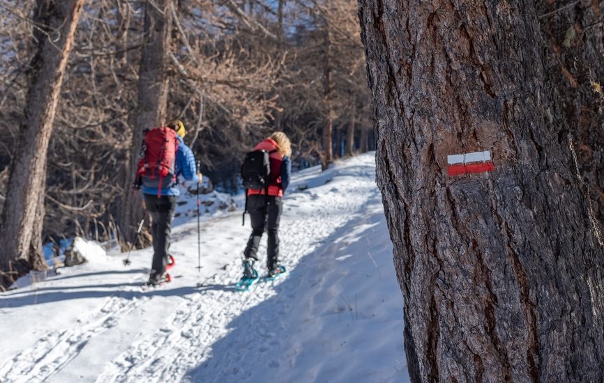 Piste du Bois de la Silve (parcours raquettes)