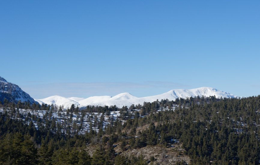 Sommet du Cheval Blanc 2323m