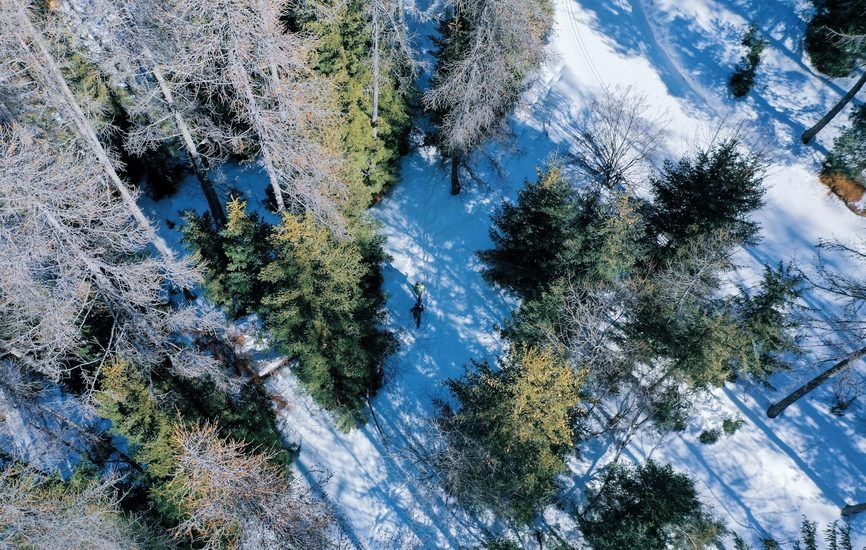 Cabane Vieille ou la Balade à JP (parcours raquettes)