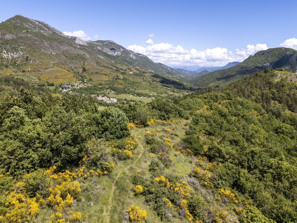Sentier de la biodiversité "Au rythme des plantes"