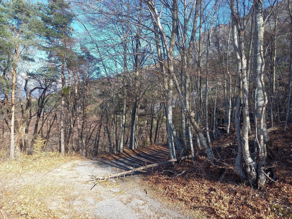 Boucle des Pangouniers (VTT n°23)