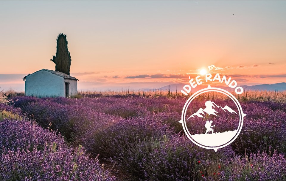 Plateau de Valensole