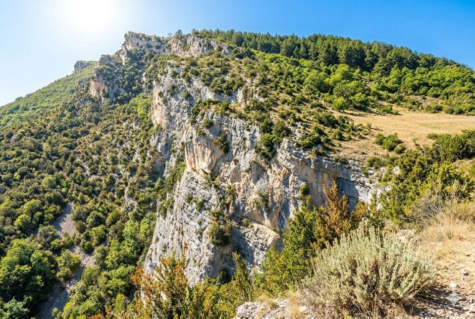 Pas de l'âne
