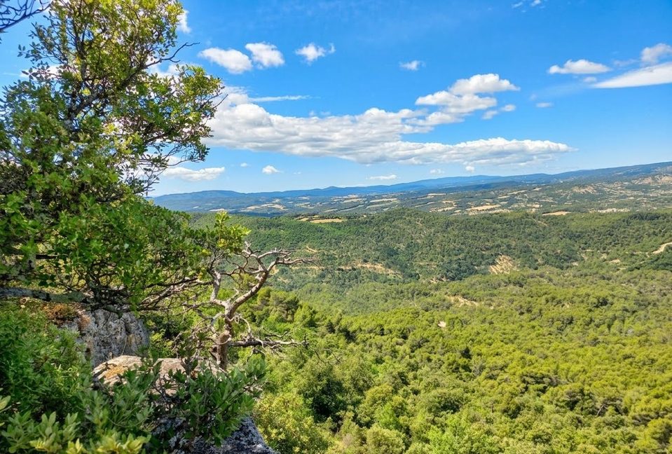 Forêt du Prieuré