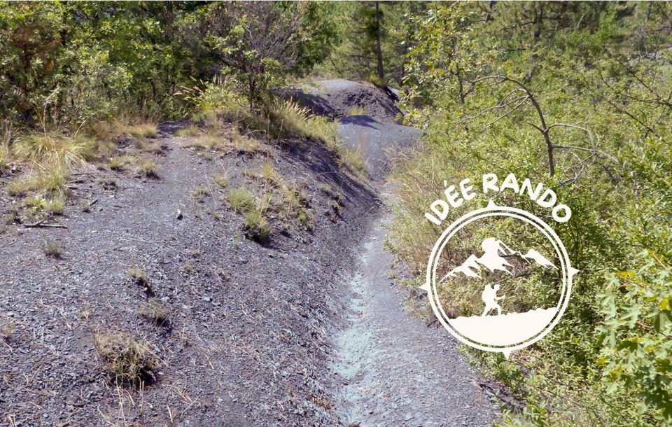 Parcours forestier