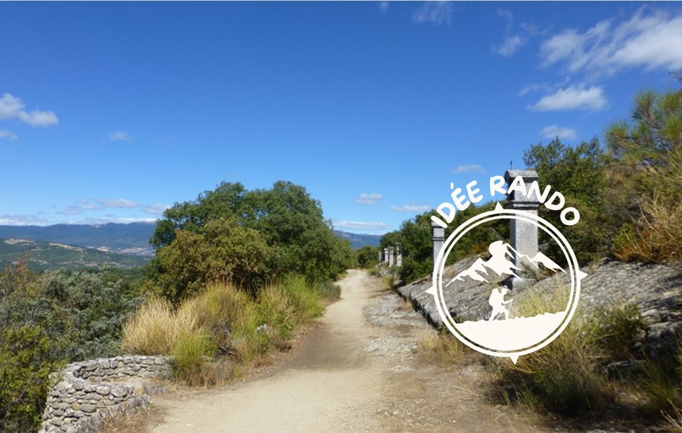 Chemin des oliviers