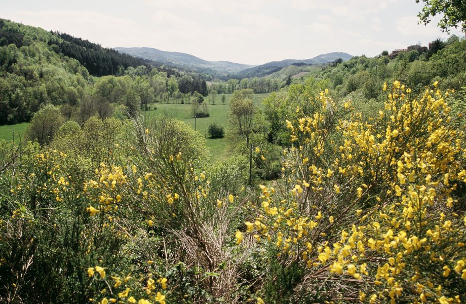 Vallée de l'Ormèze