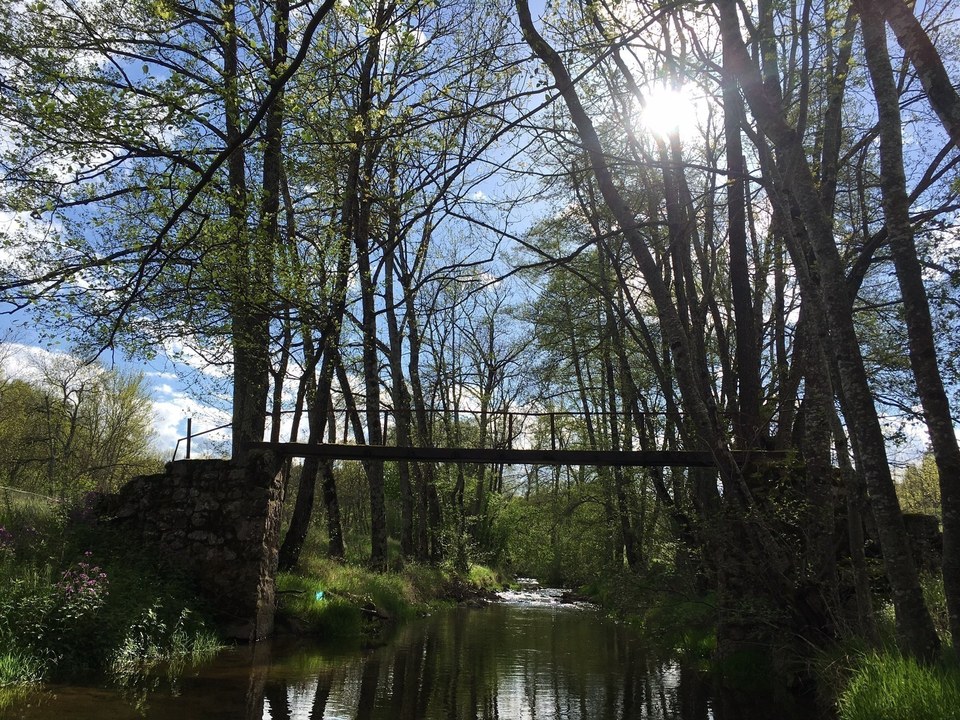 Passerelle de Turlet
