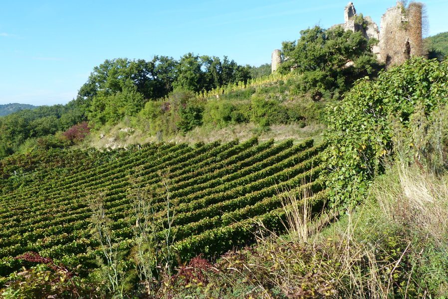 Combe fauchée